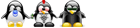 dudeTUX